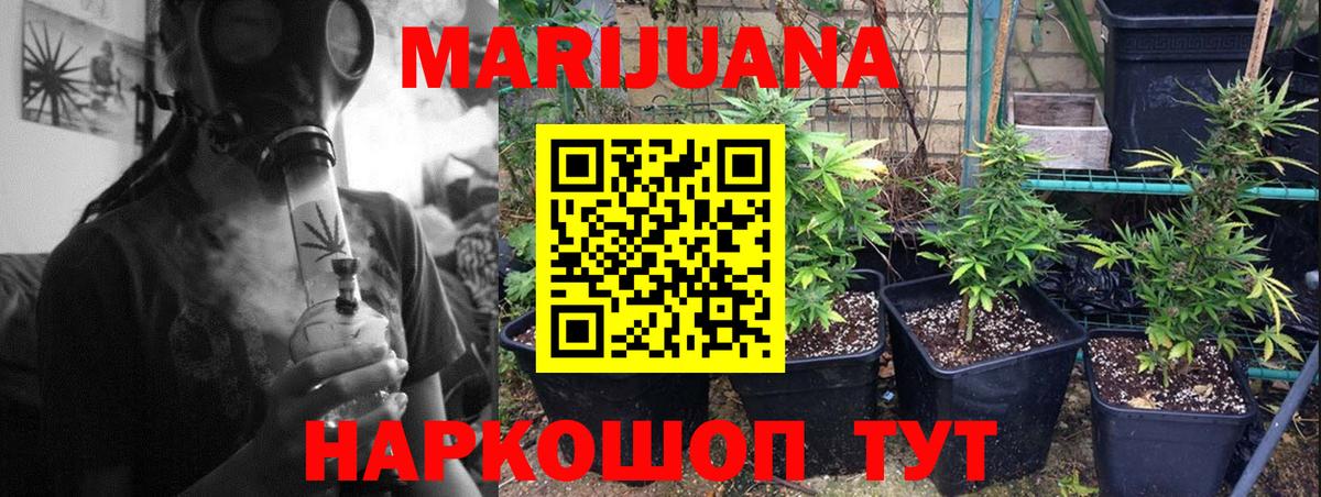 Бошки марихуана LSD WEED  Марихуана сатива  МАРИХУАНА марихуана  Конопля план  Полевской  Вход с VPN 